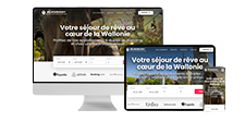 Site web:Site internet site vitrine site e commerce